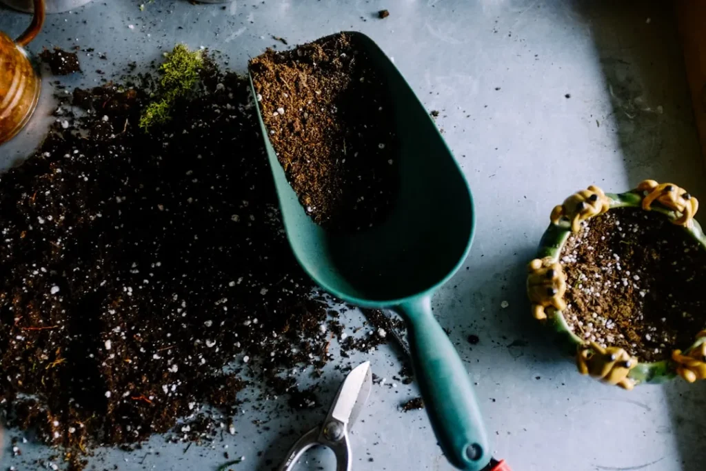How to trim a pine bush