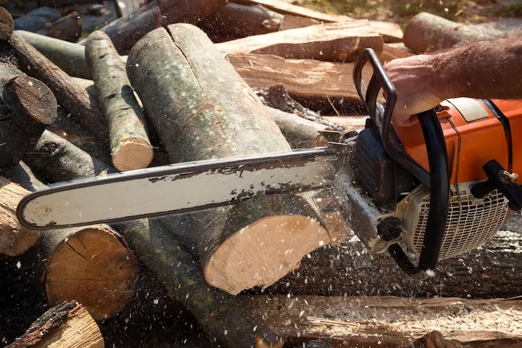 Effective Techniques for Pine Stump Removal