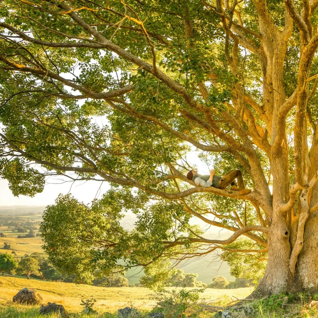 How Much Does Tree Service Cost