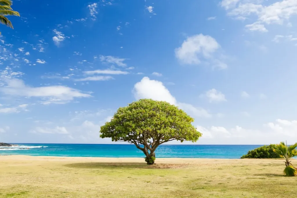 Understanding Tree Removal Costs in Atlanta